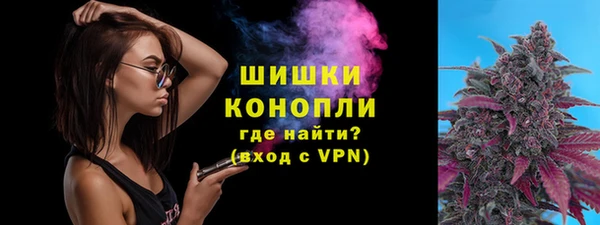 ECSTASY Новозыбков