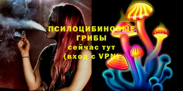 Альфа ПВП Новодвинск