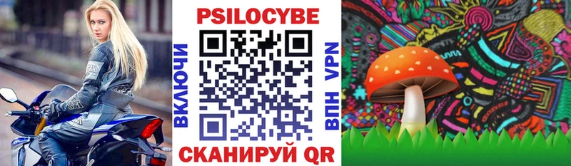Галлюциногенные грибы мухоморы  продажа наркотиков  Серафимович 