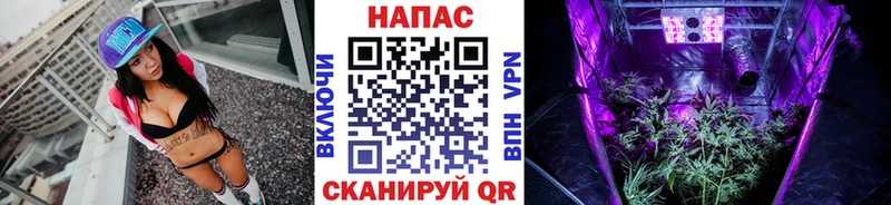 Марихуана конопля  купить   Серафимович 